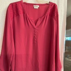 Van Heusen gorgeous long sleeve blouse XXL